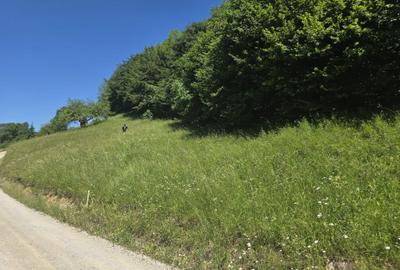 Spațiu comercial, în Central - 2