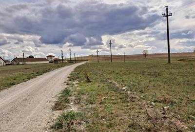 Teren intravilan de 1 Ha, cu iesire la lac, pretabil parc fotovoltaic sau turism - 1