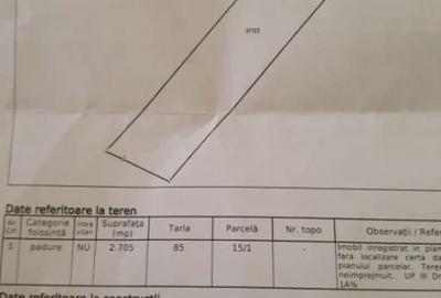 Vand teren(padure) - 1