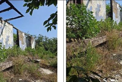Casă cu 1 camere cu Teren 1200 Mp în Cucuruzu - 1