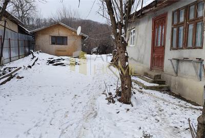 Teren 3310 mp + Casa Batraneasca Bobolia - 3