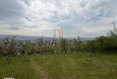 Spațiu comercial, în Dâmbul Rotund - 10