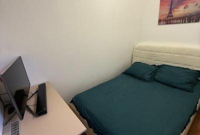 Garsonieră semidecomandată, mobilată în Podgoria - 9