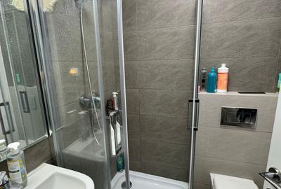 Apartament cu 3 camere în Baba Novac - 11