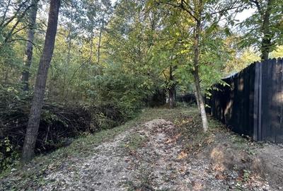 REV2005197 Casa mobilata si utilata cu vedere frumoasa - 20