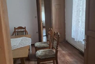 Casă cu 5 camere cu Teren 4000 Mp în Lugoj - 1