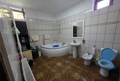 Casa P 1 M, amprenta 160 m, teren 950 mp, Maracineni, DN-E85 - 9