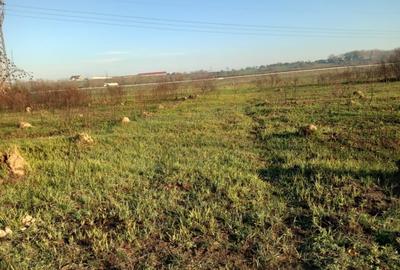 Teren extravilan de vanzare - 6286 mp- Tg jiu , jud Gorj - 2