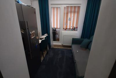 Apartament cu 2 camere semidecomandat în Banat - 3