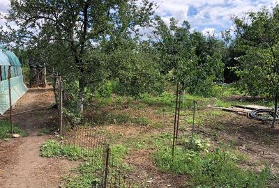 Vila in Bulbucata, Giurgiu, sat Teisori - 12