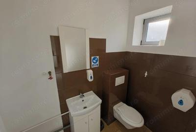 Spatiu comercial Calea Radnei Micalaca - 2
