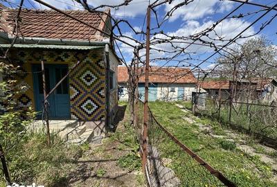 Casă cu 3 camere cu Teren 150 Mp în Halmășd - 2