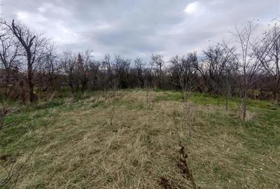 Casă individuală cu 7 camere cu Teren 540 Mp în Berliște - 12