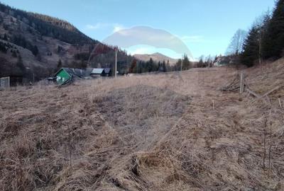 Casă cu 2 camere cu Teren 9287 Mp în Sunători - 14