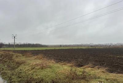 Teren în Lumina - 8