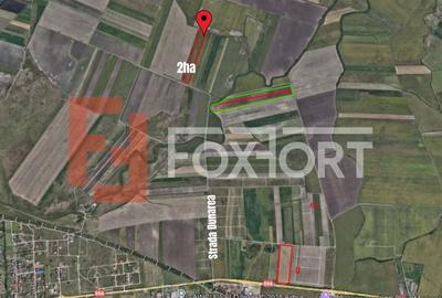 COMISION 0% Teren extravilan agricol, Sacalaz - 20.000 mp - 3