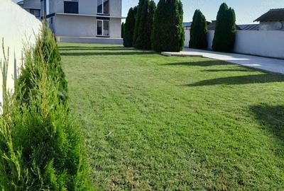 Casă în Brâncoveni - 10