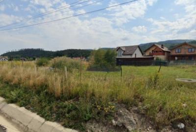 Teren Construcții intravilan de 1441 mp, în Florilor - 4