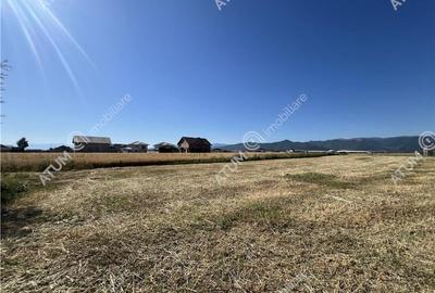Teren extravilan de 10400 mp cu 2 deschideri in Cristian zona Serelor - 1