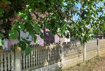 VIND URGENT casa la ?oseaua principala VIND URGENT casa la ?oseaua principala - 9