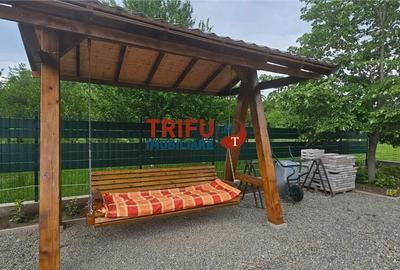 Casă cu 1 camere cu Teren 1335 Mp în Ighiu - 12