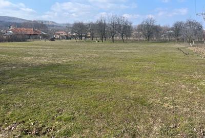 Spațiu comercial, în Călinești - 4