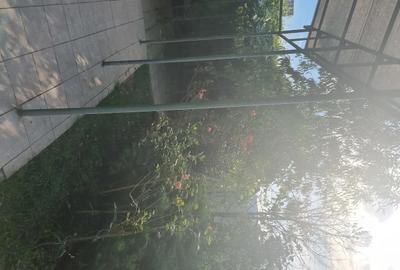 Casă cu 3 camere cu Teren 700 Mp în Bahnea - 3