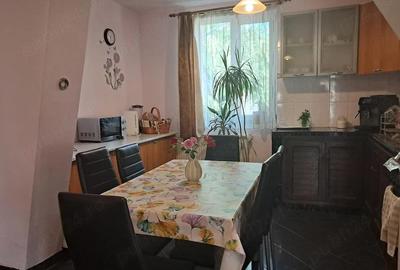 Casă cu Teren 2049 Mp în Bazoș - 16