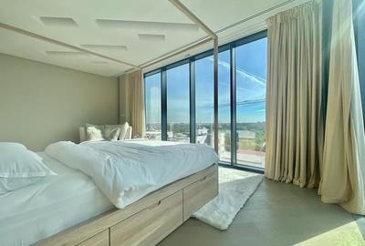 Penthouse unicat cu vedere panoramica zona Floreasca - 4