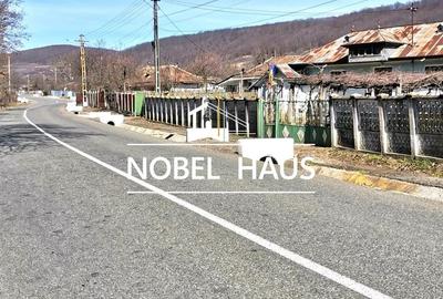 Casa, teren si padure, in sat Siscani, jud Vaslui - 17