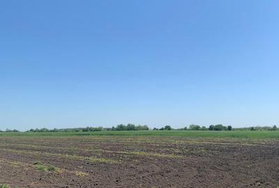 Teren Construcții intravilan de 52900 mp, în Afumați - 8