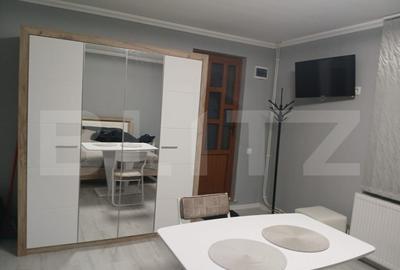 Apartament 1 camera la casa, parcare, 36 mp, gradina, Pet Fr - 10