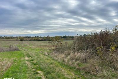 Spațiu comercial, în Piscu - 3
