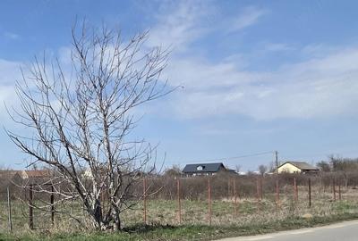 Teren de 1500 mp, în Uliuc - 2