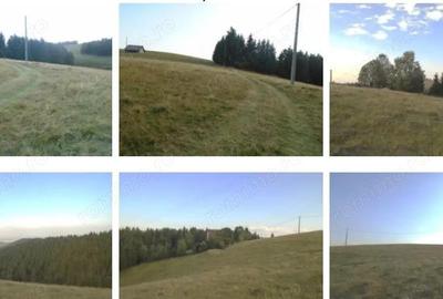 Casă cu Teren 1250 Mp în Cristian