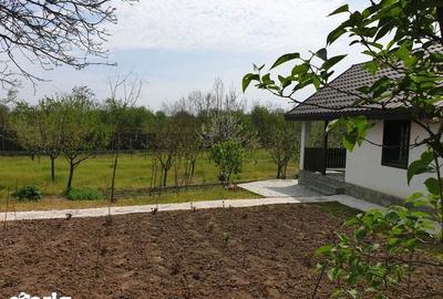 Casă cu 1 camere cu Teren 2000 Mp în Lăpuș Argeș - 4