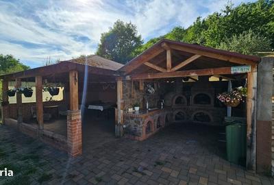 Casă cu 4 camere în Viișoara - 13