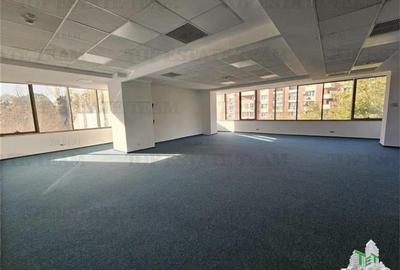 Spatiu de Birouri de 518 mp in Zona Lujerului - 9