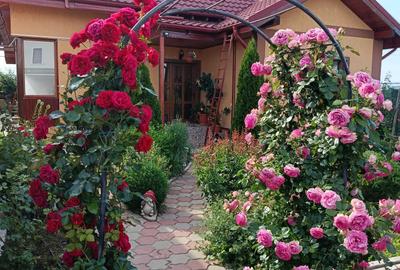 Casă cu 4 camere în Cazasu - 4