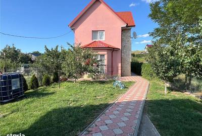 Casă cu 4 camere cu Teren 684 Mp în Dumești - 6