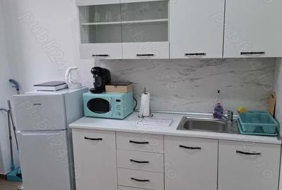 Chirie apartament cu o camera ultracentral - 2