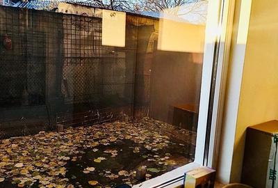 Apartament cu 2 camere semidecomandat în Tei - 1