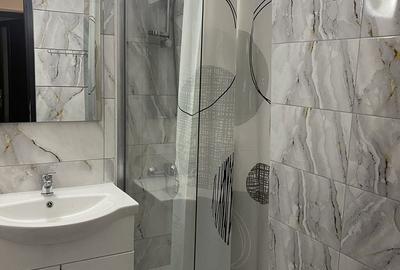 Apartament cu 2 camere decomandat în Malu Roșu - 4