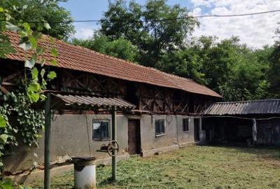 Teren 5.725 m Tomsani, Dambovi?a, la drum jude?ean - 6