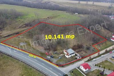 Teren de 10141 mp, în Dedulești - 2