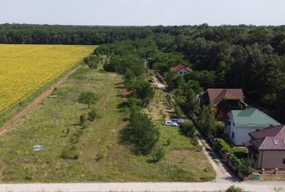 Snagov padure - Teren intravilan cu PUZ aprobat - 8