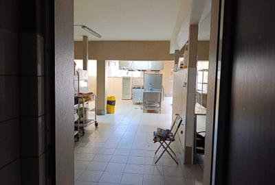 Spațiu comercial, de 140 mp, în Trei Stejari - 3