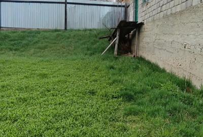 Casa vanzare Apata, judetul Brasov - 7