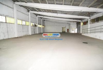 Inchiriere spatii depozitare suprafete intre 500 mp si 11000 mp - 21