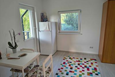 Casă cu 2 camere cu Teren 250 Mp în Lisaura - 4